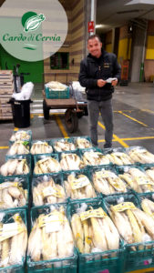 Vendita Mercato Ortofrutticolo cardo di Cervia 2016