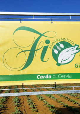 Cardo di Cervia nuova insegna 2017