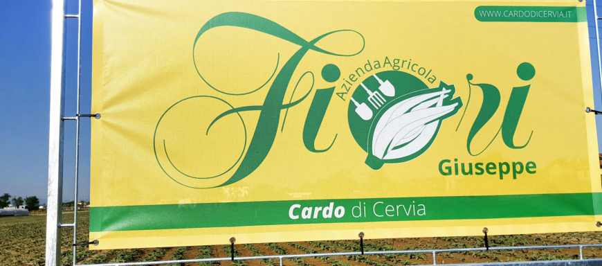 Cardo di Cervia nuova insegna 2017