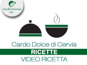 Cardo di Cervia Video ricetta cardodicervia.it